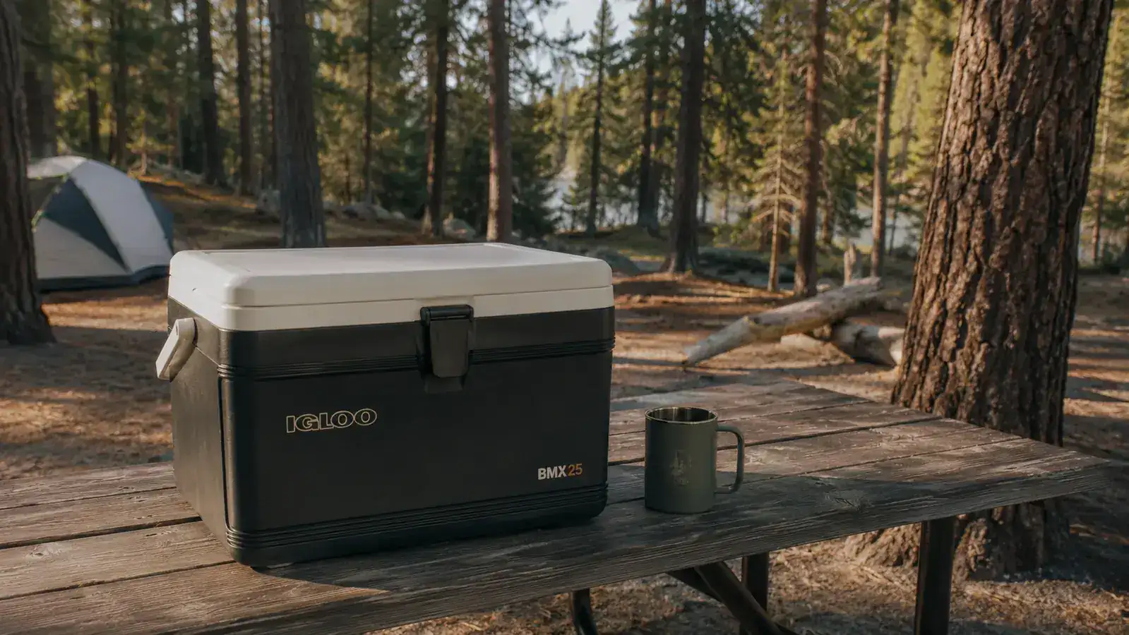 How the Igloo BMX Saved Our Family's Food on a 4-Day Campout