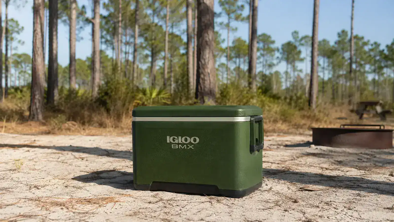 Igloo BMX Cooler Honest Review: What Nobody Tells You Before You Buy