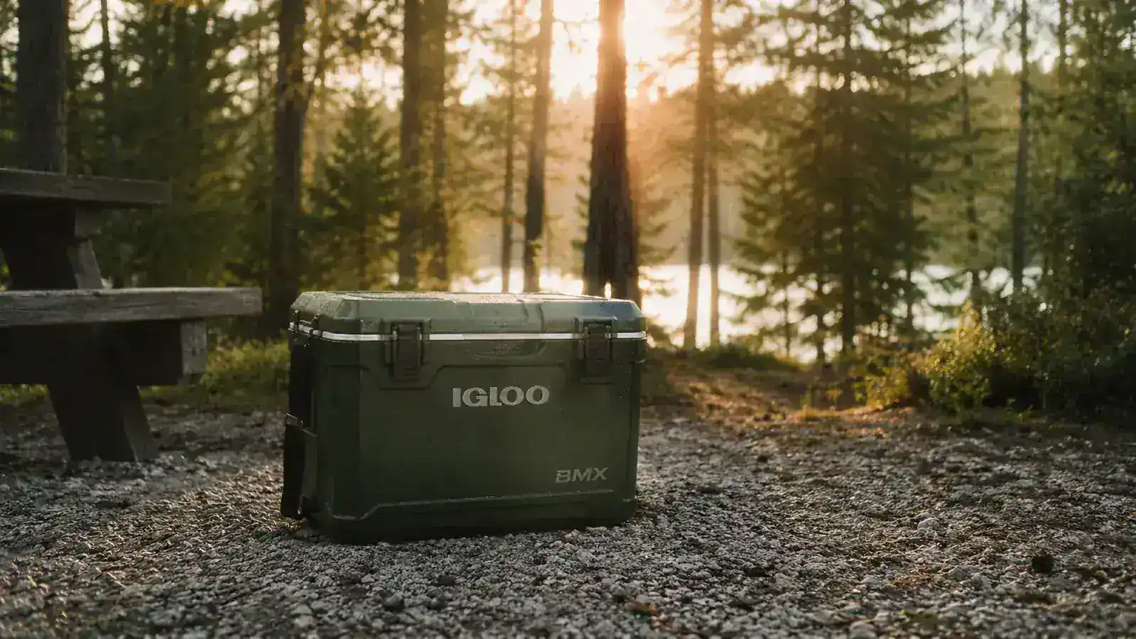 Igloo BMX Cooler Review: Does It Actually Hold Ice for 5 Days?